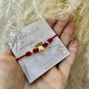 Bolsa Dinero (Hilo Terlenca)